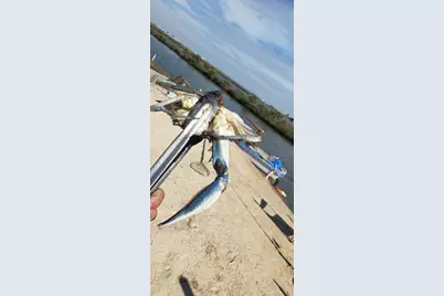 00 Bayou Lane, Hitchcock, TX 77563 - Photo 31