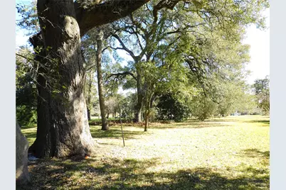2408 Gun and Rod Road, Brenham, TX 77833 - Photo 5