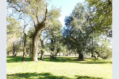 2408 Gun and Rod Road, Brenham, TX 77833 - Photo 3