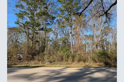 25865 Cambridge Boulevard, New Caney, TX 77357 - Photo 1