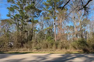 25865 Cambridge Blvd, New Caney, TX 77357 - Photo 1