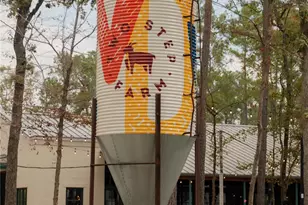 7923 Broken Spoke Dr, Montgomery, TX 77316 - Photo 7