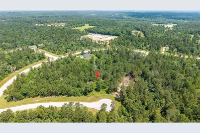 157 Iron Horse Road, New Waverly, TX 77378 - Photo 3