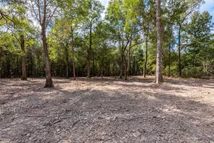 1100 County Road 6512, Dayton, TX 77535 - Photo 45