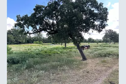 4668 E Fm 1280, Groveton, TX 75845 - Photo 15