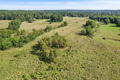 Tbd Bailey Grove Road, Montgomery, TX 77356 - Photo 31