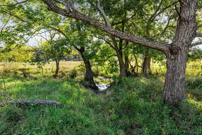 Tbd Bailey Grove Road, Montgomery, TX 77356 - Photo 19