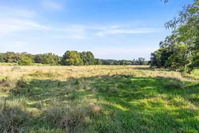 Tbd Bailey Grove Road, Montgomery, TX 77356 - Photo 11