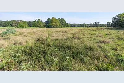 Tbd Bailey Grove Road, Montgomery, TX 77356 - Photo 13
