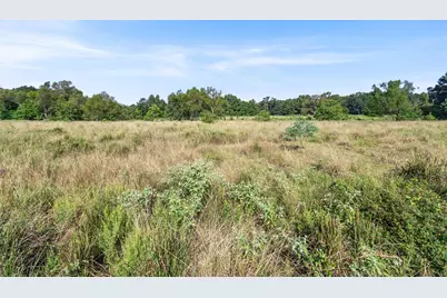 Tbd Bailey Grove Road, Montgomery, TX 77356 - Photo 15
