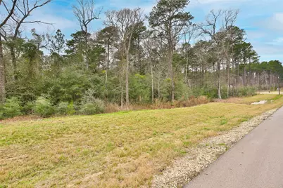 00 Larkspur Lane, New Waverly, TX 77358 - Photo 5