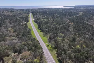 P#1 Tbd Us-190, Point Blank, TX 77364 - Photo 1