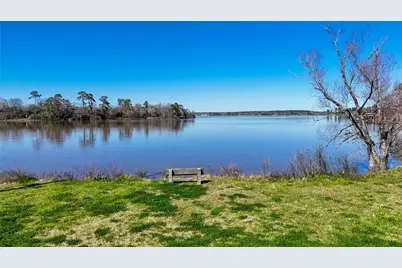 224 Steinback Avenue, Trinity, TX 75862 - Photo 3