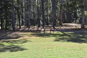 18611 Parker Rd, Cleveland, TX 77328 - Photo 3