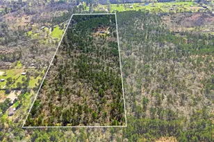 18611 Parker Rd, Cleveland, TX 77328 - Photo 43