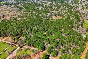 18611 Parker Rd, Cleveland, TX 77328 - Photo 41