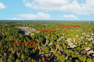 234 N Carson Cub Ct, Montgomery, TX 77316 - Photo 47