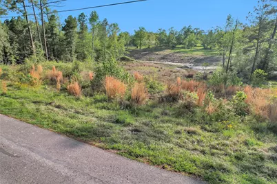 8 Lake Shore Lane, Huntsville, TX 77320 - Photo 3
