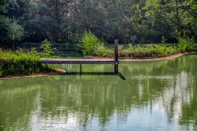 10347 Pless Road, Cat Spring, TX 78933 - Photo 17