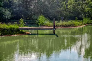 10347 Pless Rd, Cat Spring, TX 78933 - Photo 17