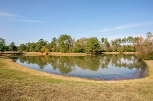 28915 Forest Hill Dr, Magnolia, TX 77355 - Photo 3