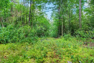426 County Road 1420, Warren, TX 77664 - Photo 25