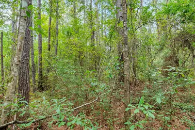 426 County Road 1420, Warren, TX 77664 - Photo 23