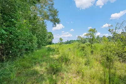 426 County Road 1420, Warren, TX 77664 - Photo 5