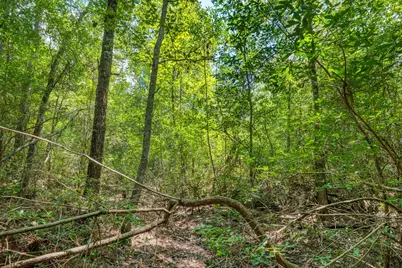 426 County Road 1420, Warren, TX 77664 - Photo 27