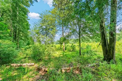 426 County Road 1420, Warren, TX 77664 - Photo 11