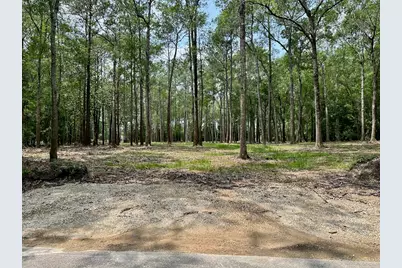 10460 Sweetgum Lane, Lumberton, TX 77657 - Photo 9