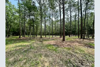 10460 Sweetgum Lane, Lumberton, TX 77657 - Photo 3