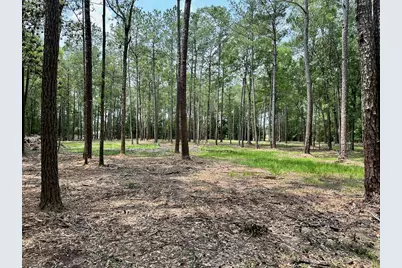 10460 Sweetgum Lane, Lumberton, TX 77657 - Photo 7