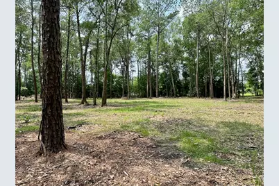 10460 Sweetgum Lane, Lumberton, TX 77657 - Photo 5