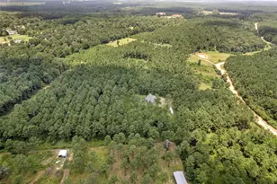 235 Bracewell Cemetery Rd, Livingston, TX 77351 - Photo 29