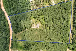 235 Bracewell Cemetery Rd, Livingston, TX 77351 - Photo 33