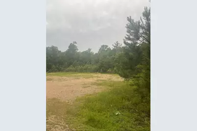 000 Towering Pines, Livingston, TX 77351 - Photo 5