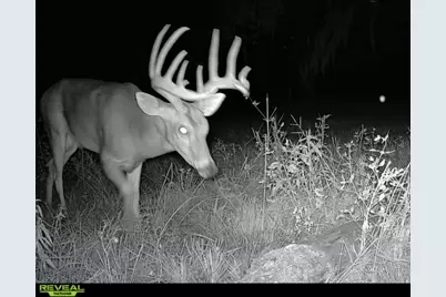 0 Cr 875, West Columbia, TX 77486 - Photo 19