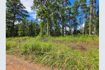 156 Lakeview Drive, Onalaska, TX 77360 - Photo 5