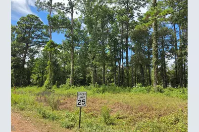 156 Lakeview Drive, Onalaska, TX 77360 - Photo 3