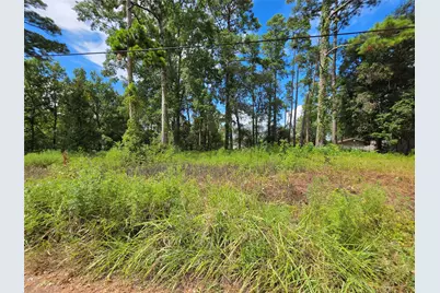 156 Lakeview Drive, Onalaska, TX 77360 - Photo 1