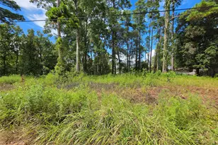 156 Lakeview Dr, Onalaska, TX 77360 - Photo 1