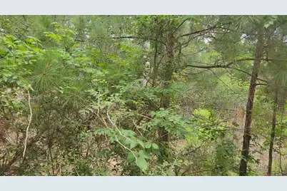 Lot 10 B53 Sweetleaf Lane, Plantersville, TX 77363 - Photo 9