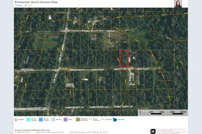Lot 10 B53 Sweetleaf Lane, Plantersville, TX 77363 - Photo 3