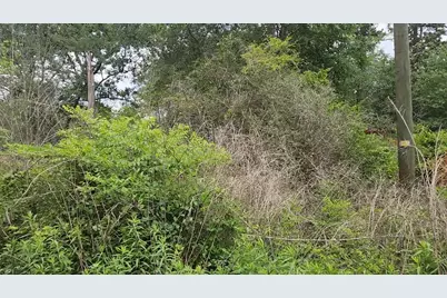 Lot 10 B53 Sweetleaf Lane, Plantersville, TX 77363 - Photo 21