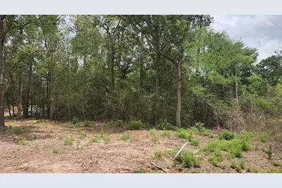 Lot 10 B53 Sweetleaf Lane, Plantersville, TX 77363 - Photo 1