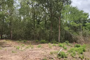 Lot 10 B53 Sweetleaf Ln, Plantersville, TX 77363 - Photo 1