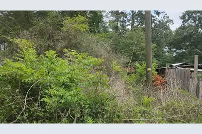 Lot 10 B53 Sweetleaf Lane, Plantersville, TX 77363 - Photo 19