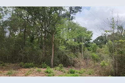 Lot 10 B53 Sweetleaf Lane, Plantersville, TX 77363 - Photo 7