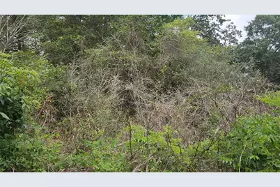 Lot 10 B53 Sweetleaf Lane, Plantersville, TX 77363 - Photo 23